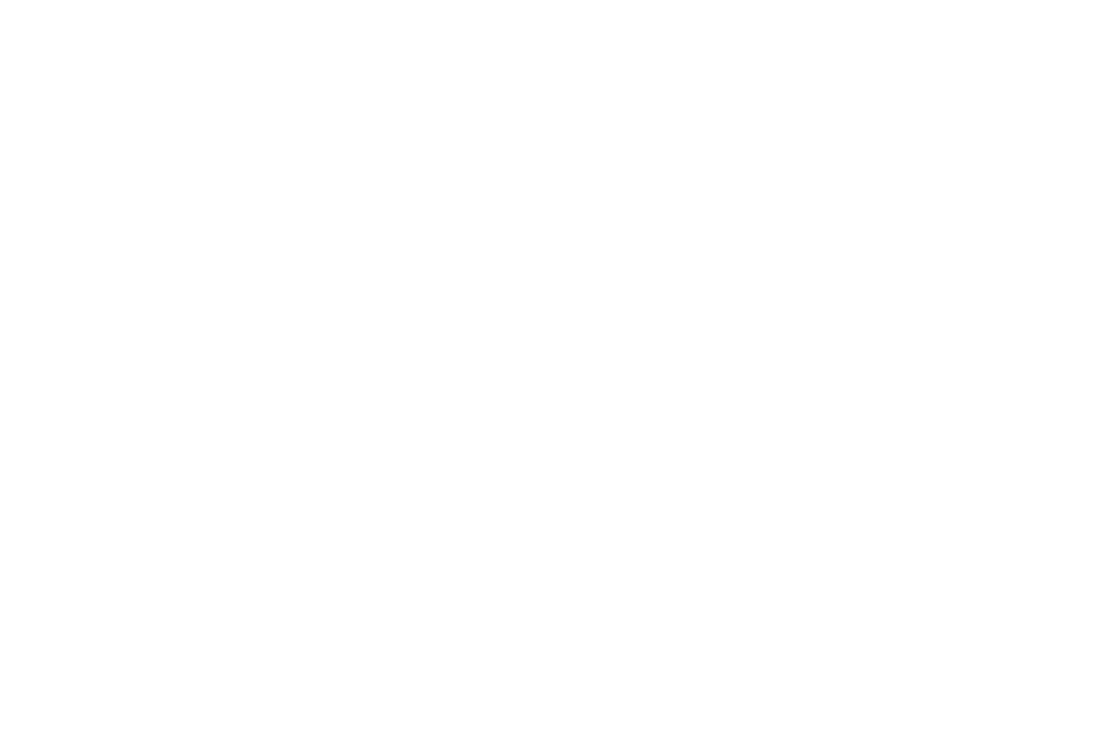 Robertinho do Brasil